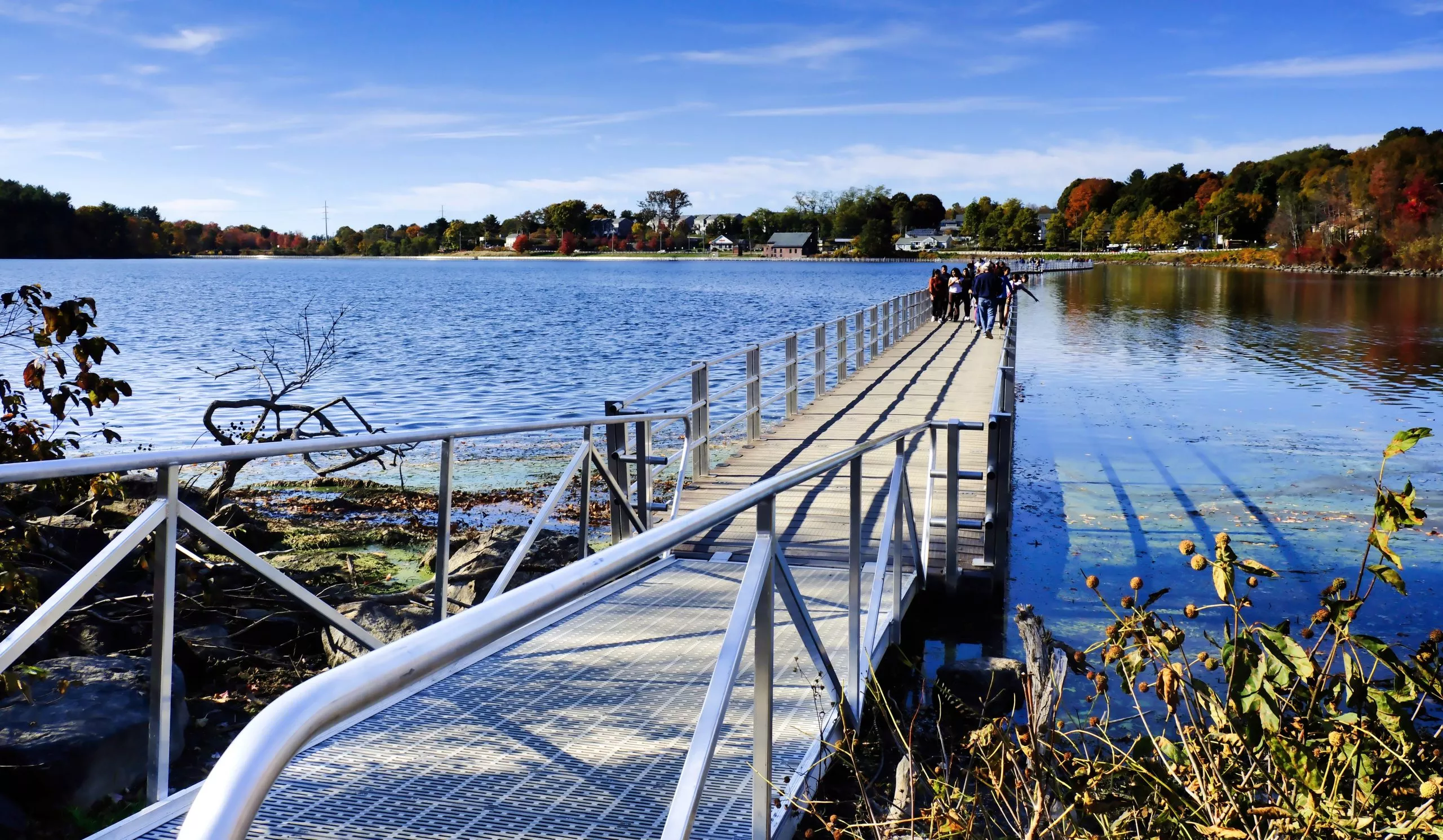 Fall Foliage, New England 2024